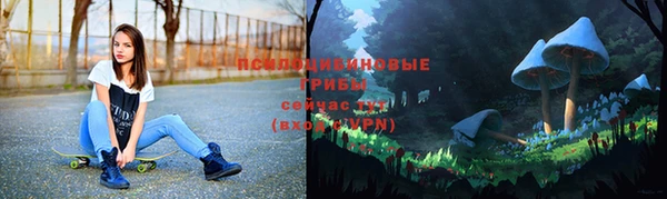 дмт Волосово