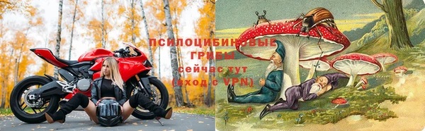 ALPHA PVP Володарск